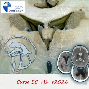 SC-H1_2026